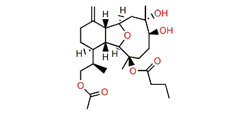 Hirsutalin H